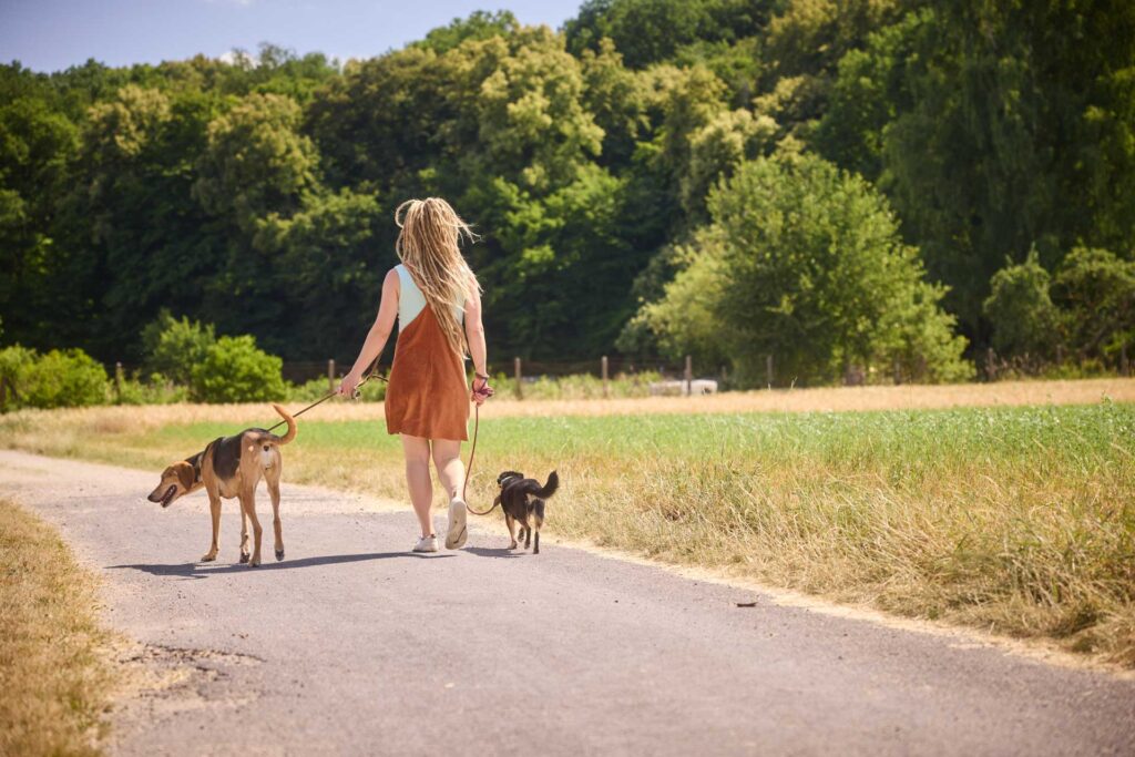 20250625_campinginsel_MG_0580