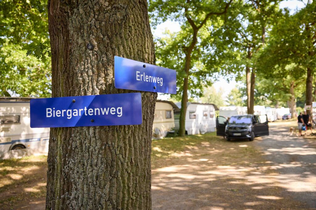 20250625_campinginsel_MG_0688