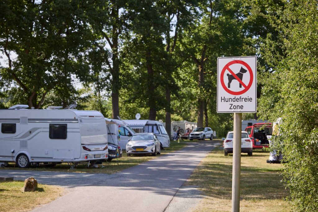 20250625_campinginsel_MG_0904